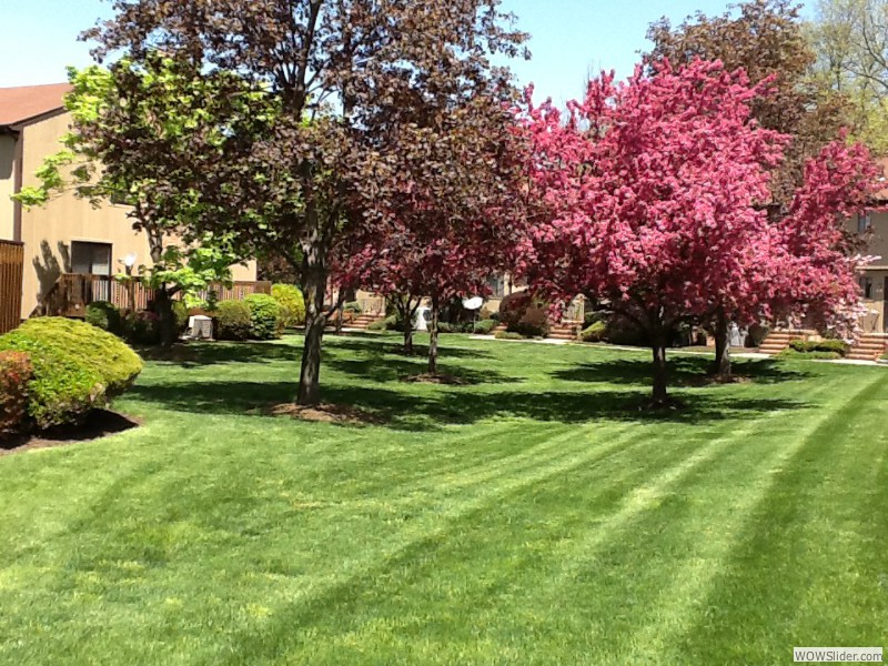 Interstate Landscaping